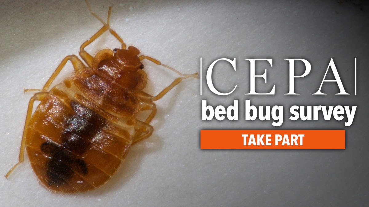 Cepabedbugsurvey Cepabedbugsurvey